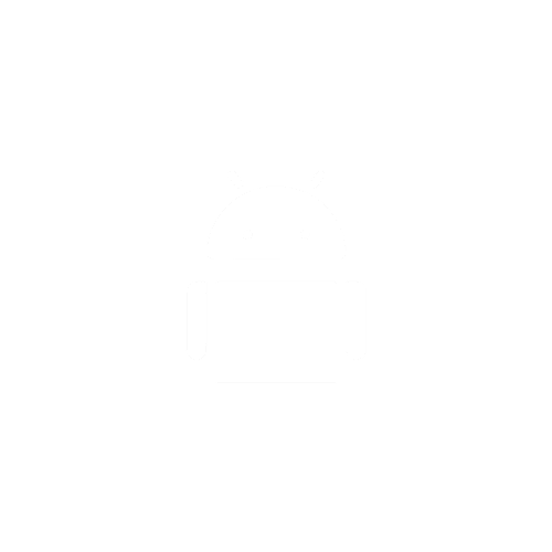 software developer